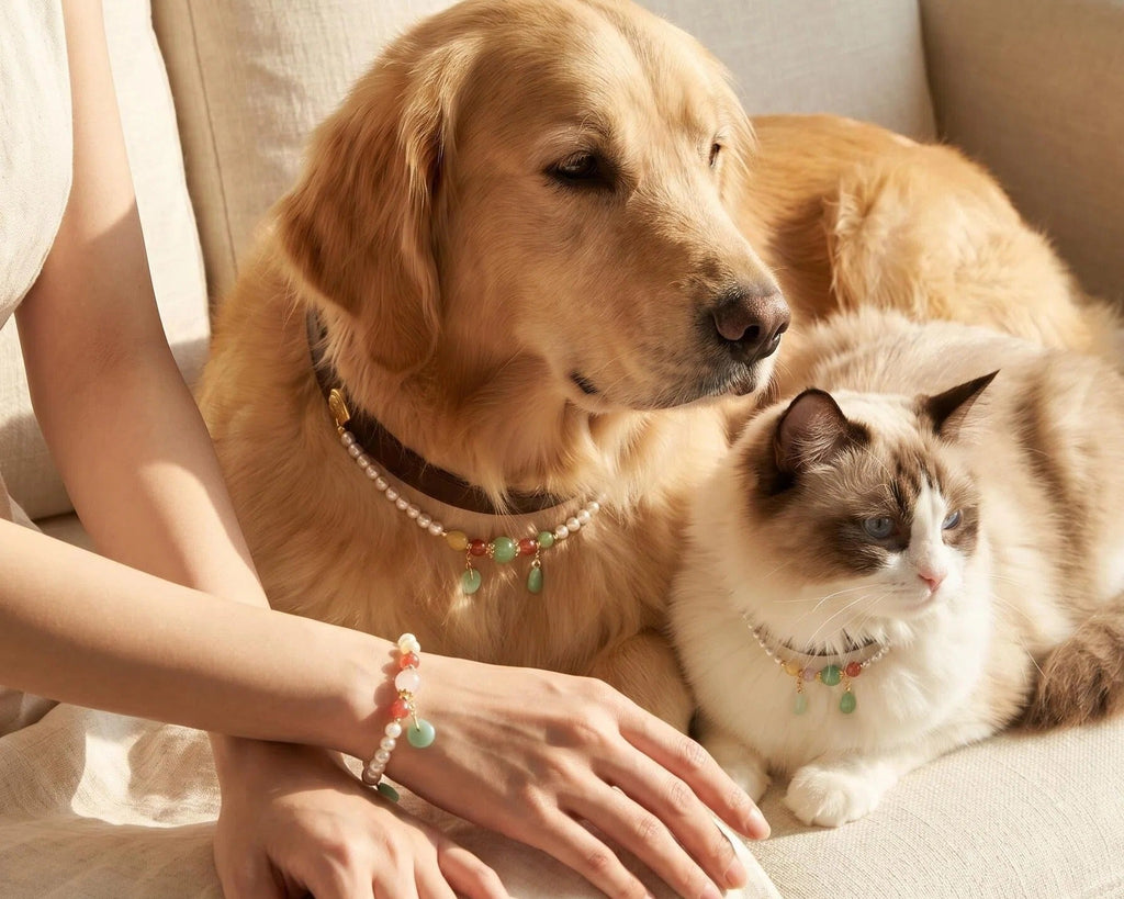 Woman's wrist wearing Pearl & Bloom bracelet
with Shiba Inu or cat wearing matching crystal collar,
human and pet matching grace crystal set lifestyle photography