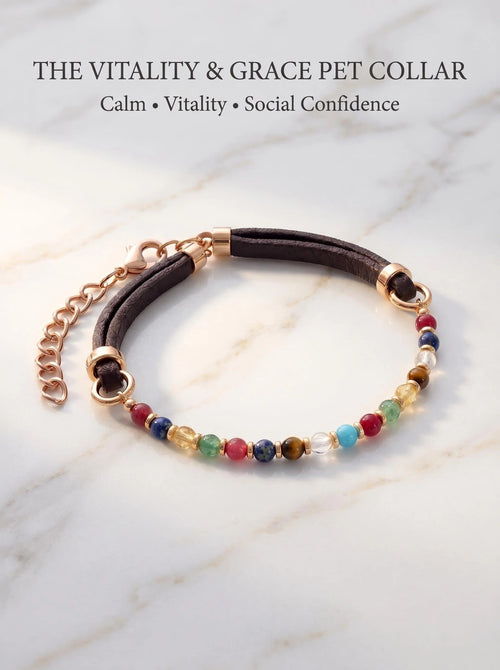 Strawberry Quartz & Kyanite & Aquamarine pet collar in a refined product view